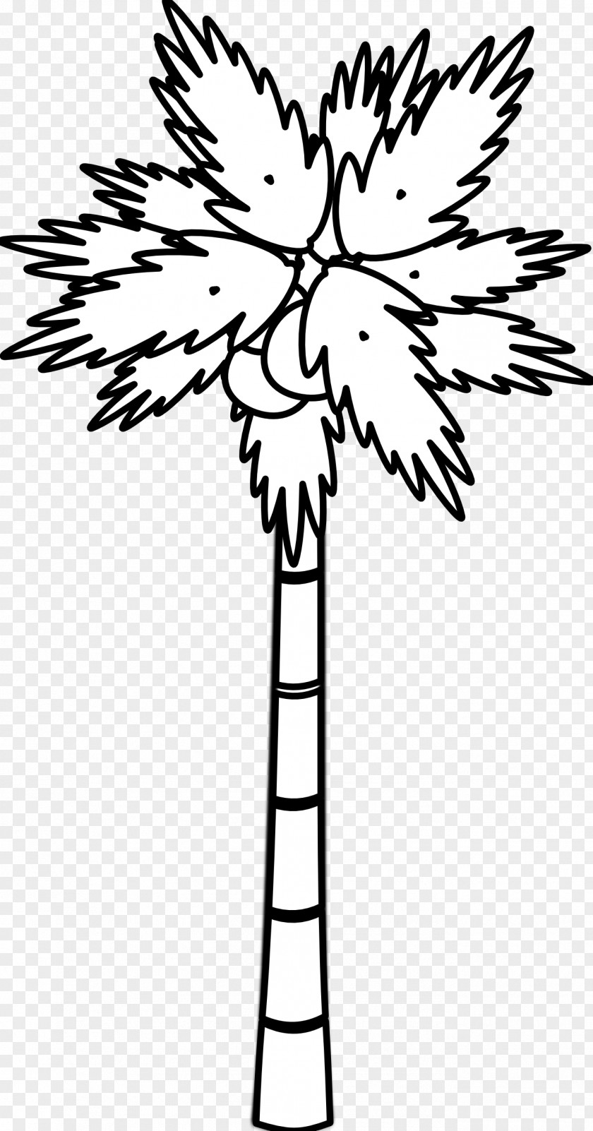 Black And White Tree Tattoos Coconut Arecaceae Clip Art PNG