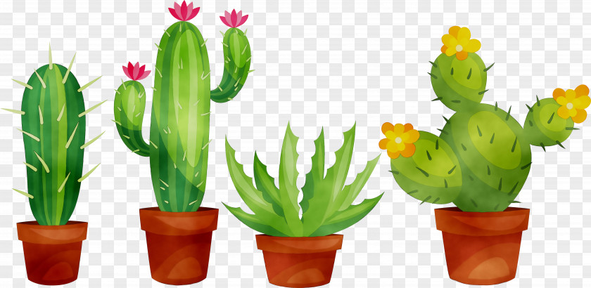 Cactus Clip Art Succulent Plant PNG