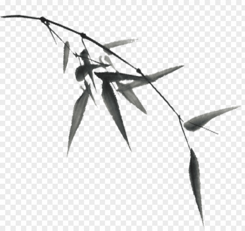Hand-painted Bamboo Black And White PNG