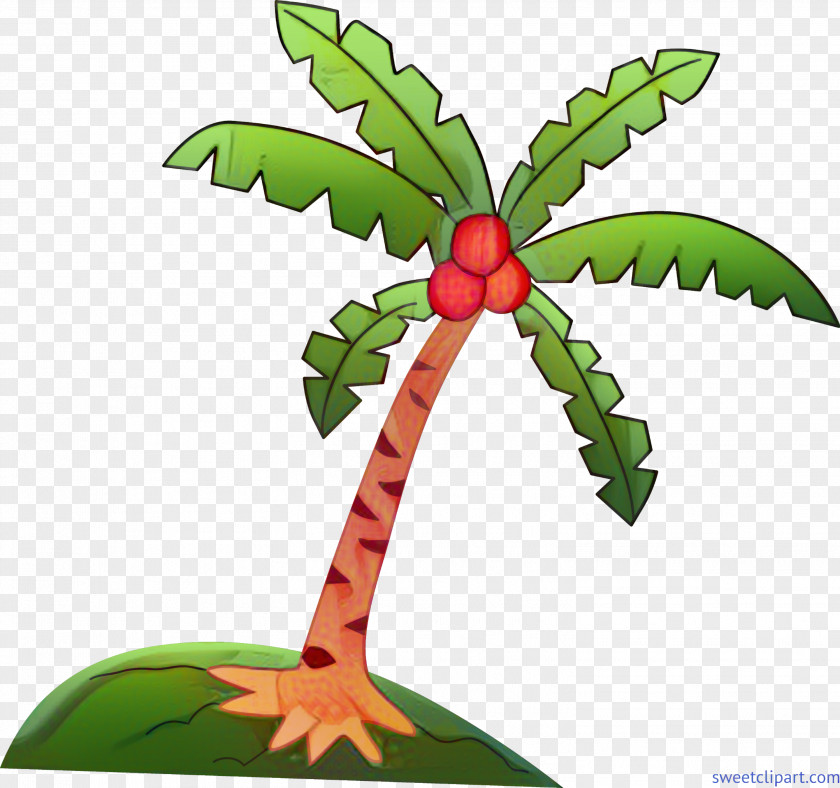 Palm Trees Coconut Clip Art Drawing PNG