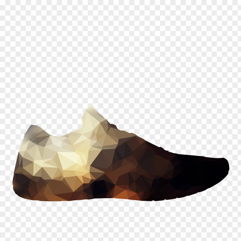 Shoe PNG