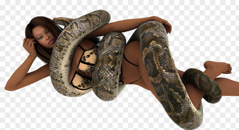 Snake Boa Constrictor Female Constriction Woman PNG