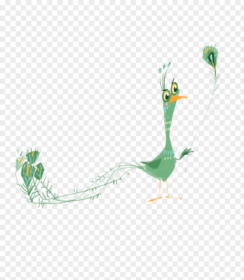 Lint Peacock Peafowl Illustration PNG