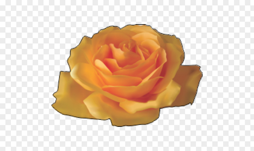 Rose Flower Yellow Clip Art PNG