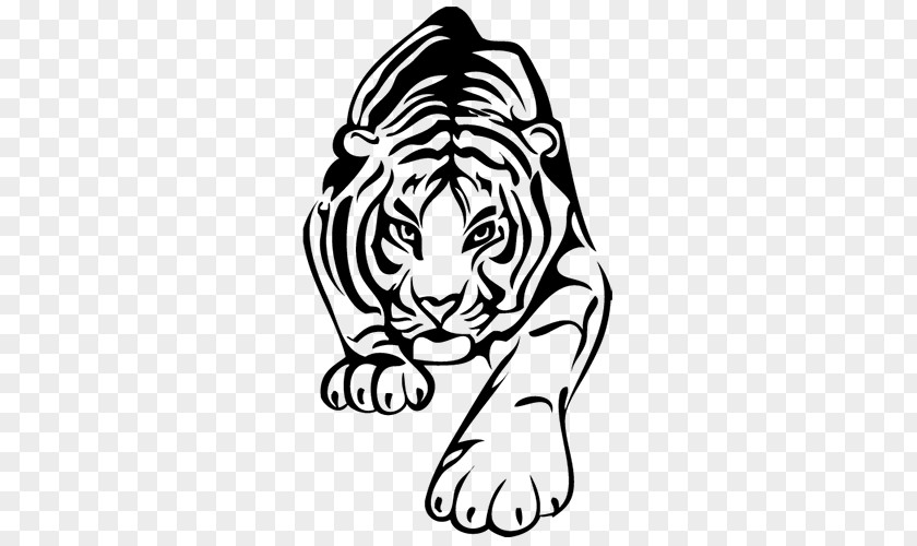 Tiger Coloring Book Lion Child Cat PNG