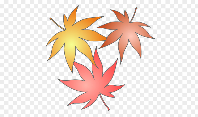 Advent Clipart Clip Art Illustration Drawing Maple Leaf Image PNG
