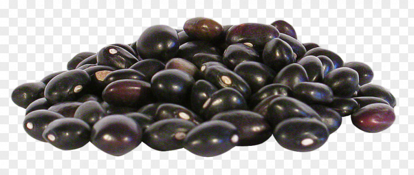 Coffee Black Turtle Bean Frijoles Negros Mexican Cuisine Baked Beans PNG turtle bean negros cuisine beans, Bok Choy clipart PNG