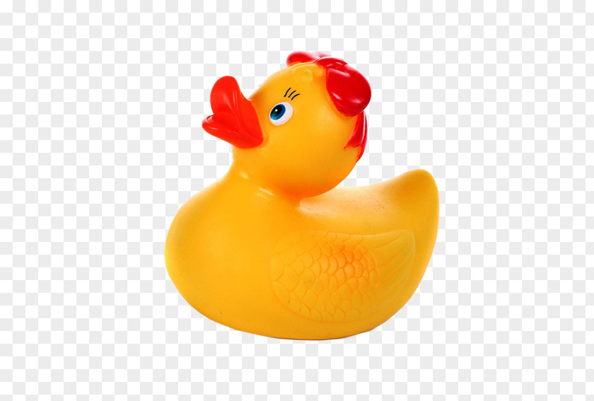 Duck Rubber Bathroom Tile Toy PNG