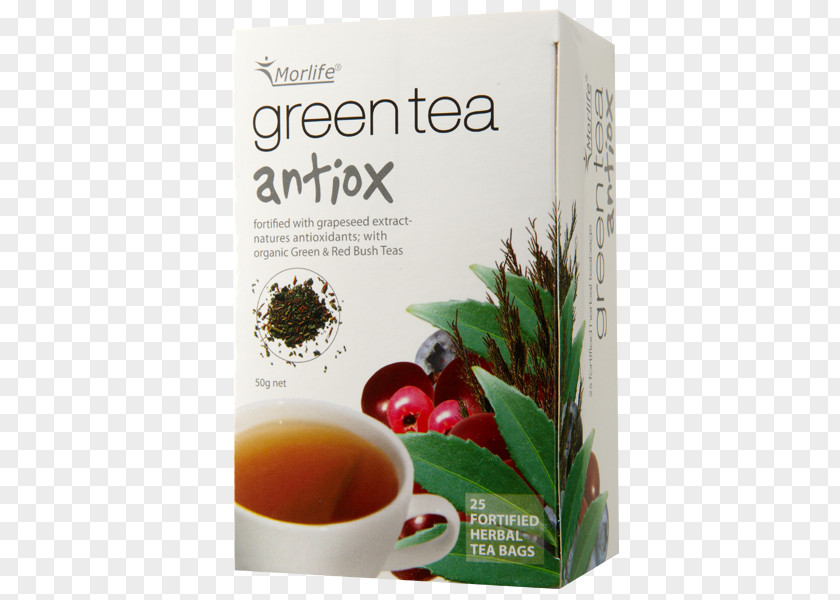 Green Tea Earl Grey Hōjicha Antioxidant PNG