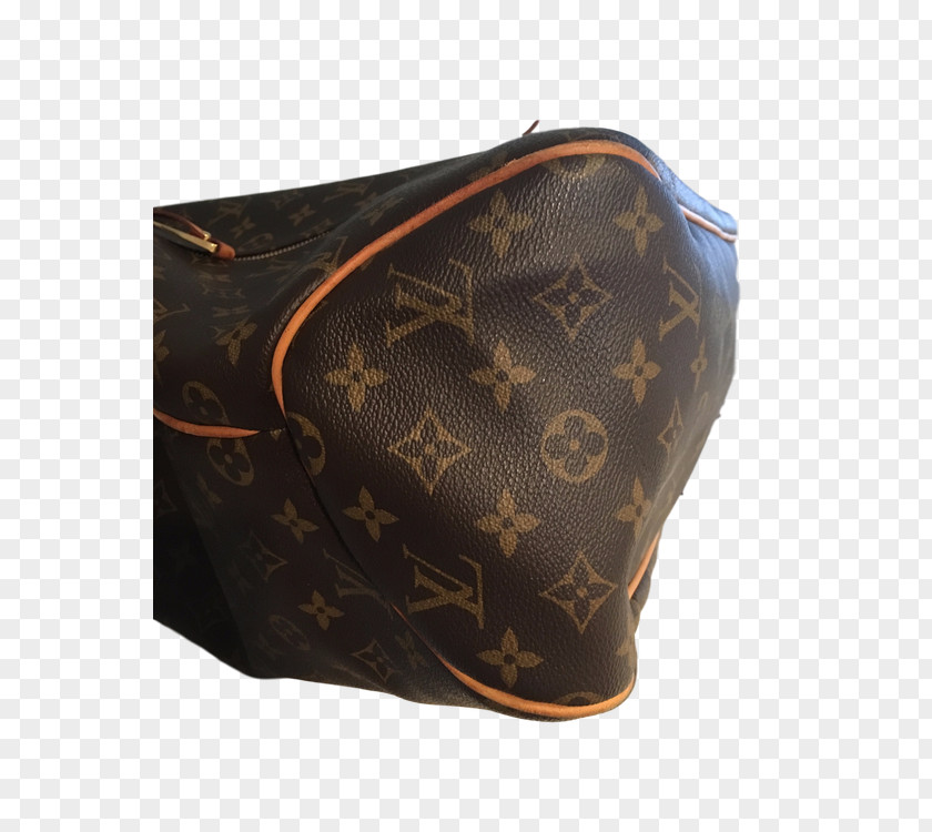 Handbag Louis Vuitton Monogram Coin Purse Canvas PNG
