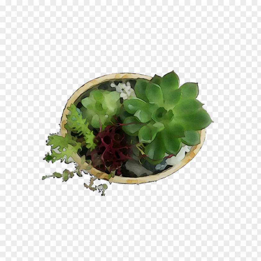 Herb PNG