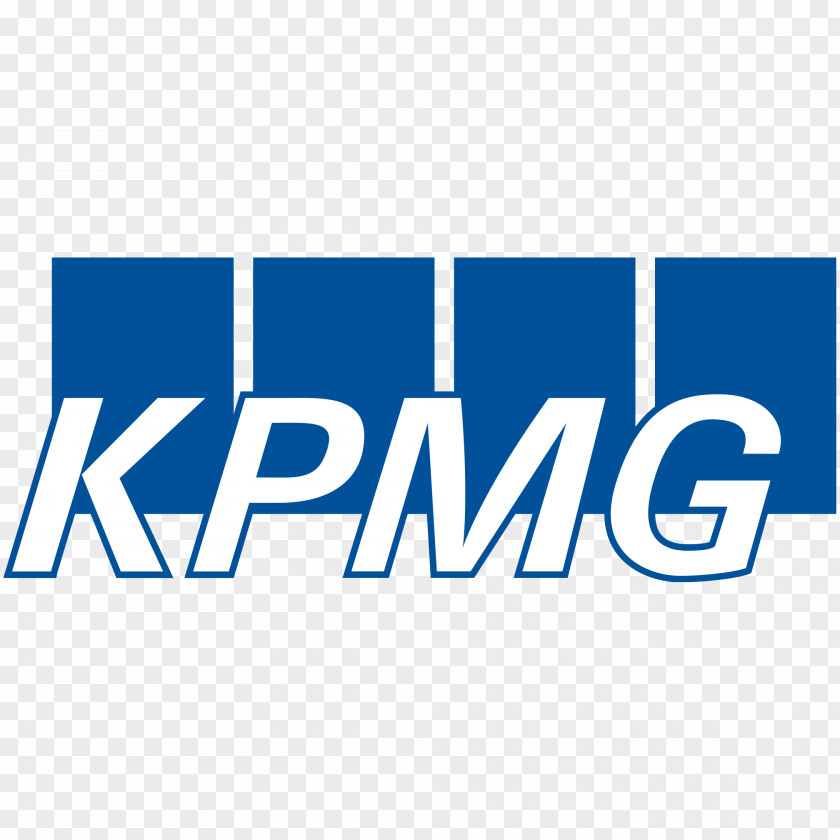 KPMG Turkey Marwick Mitchell & Co. Organization Audit PNG
