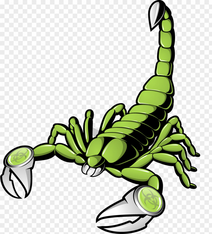 Scorpions Scorpion Euclidean Vector Clip Art PNG