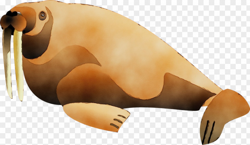 Seals Snout Beak Animal Figurine Biology PNG