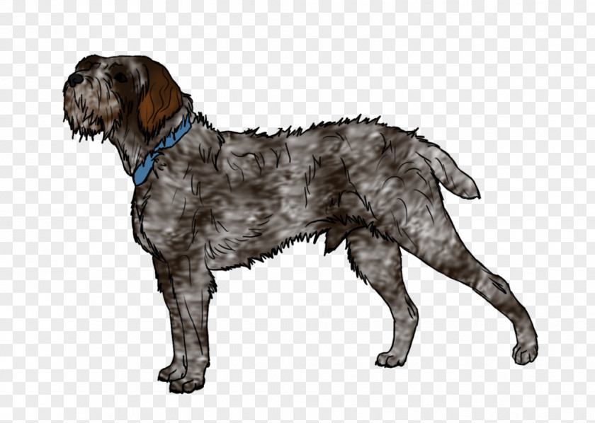 Baby Dog Wirehaired Pointing Griffon Spinone Italiano German Pointer Breed PNG