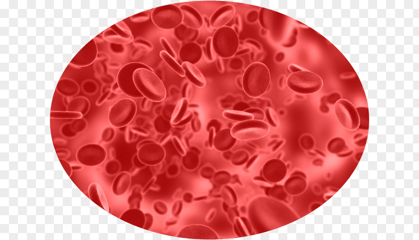 Blood Cells Molecular Biology Of The Cell Nanotechnology Lung Health PNG