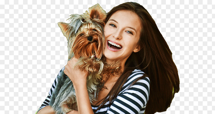 Dog Sayings Yorkshire Terrier Breed Puppy Pet Insurance Companion PNG