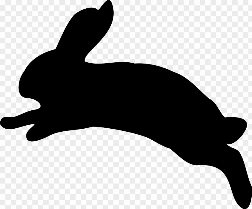 Domestic Rabbit Dog Hare Pet Business PNG