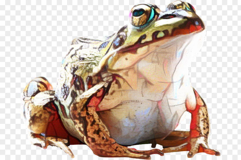 Frog Kill All Normies Clip Art Image PNG