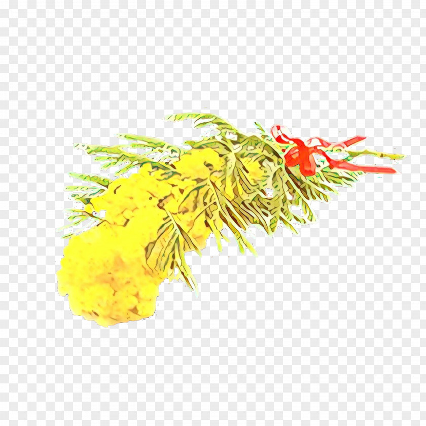 Goldenrod Plant Yellow Flower PNG