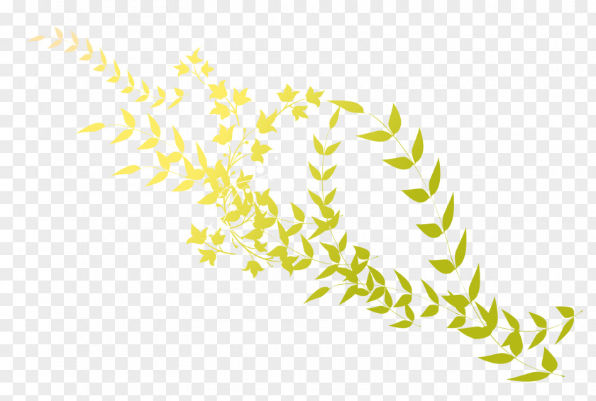 Leaf Grasses Plant Stem Commodity Clip Art PNG