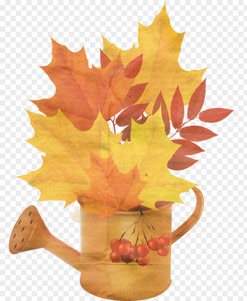 Maple Decorative Kettle Autumn Leaf Color PNG