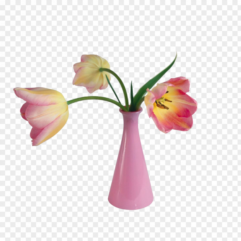 Vase Valentines Day Flower Clip Art PNG