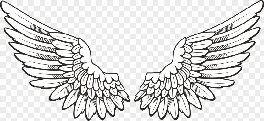Wings Icon Wing Clip Art PNG