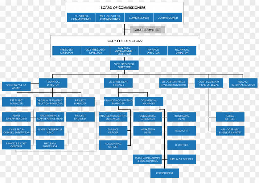 Business Hierarchical Organization Diagram Corporate Structure Corporation PNG