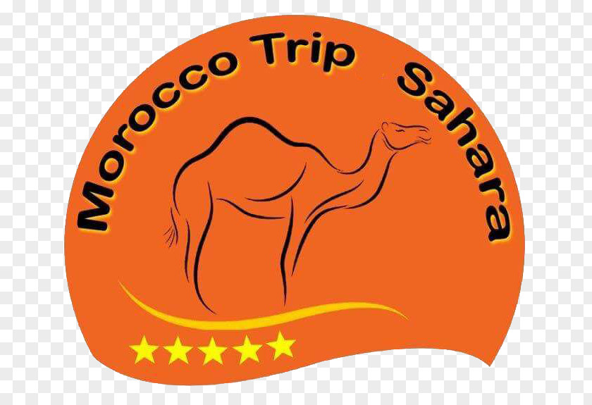 Camel Morocco Trips Sahara Marrakesh Desert Clip Art PNG