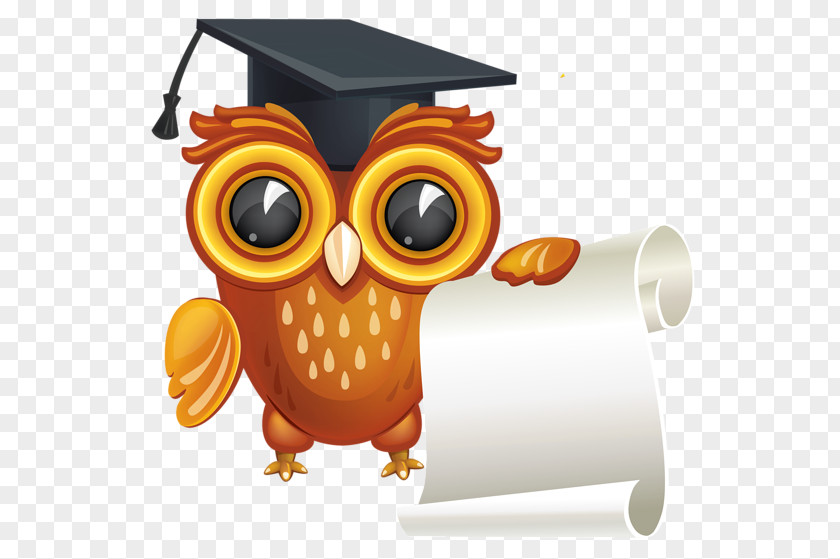 Dr. Owl Diploma Bachelors Degree Graduation Ceremony Clip Art PNG