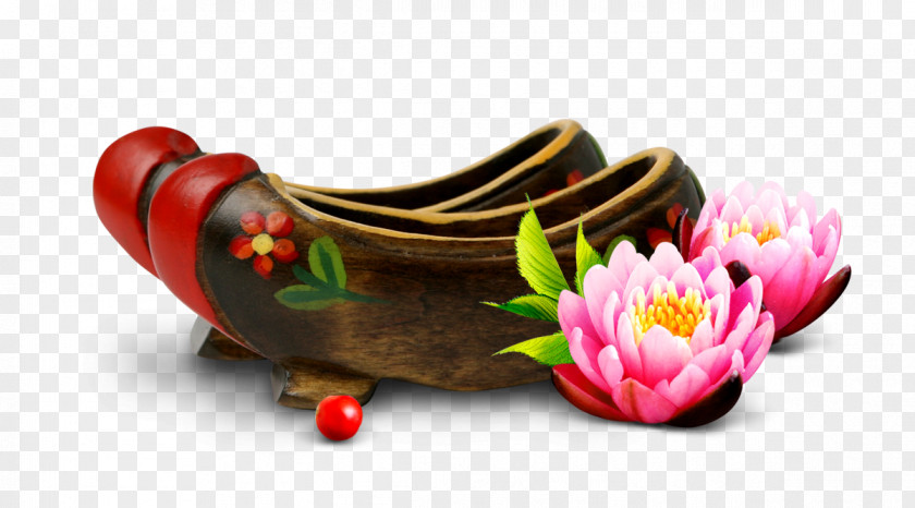 Lotus South Korea Clog Icon PNG