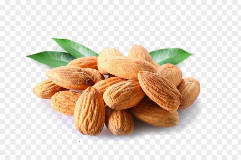 Nuts Hand Drawing,Almond Almond Nutrient Peach Nutrition Juglans PNG