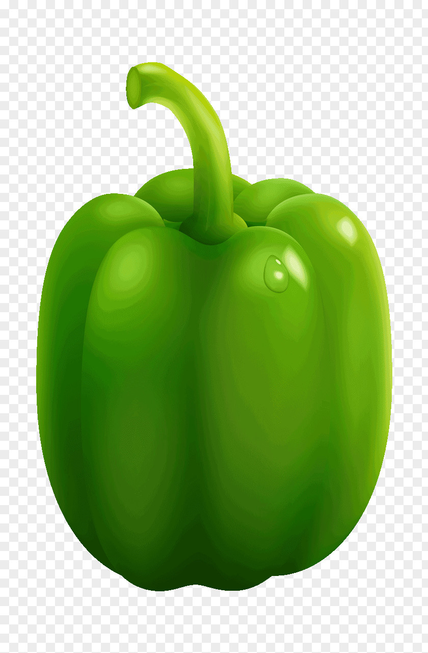 Paprika Chili Pepper Bell Vegetable Food PNG