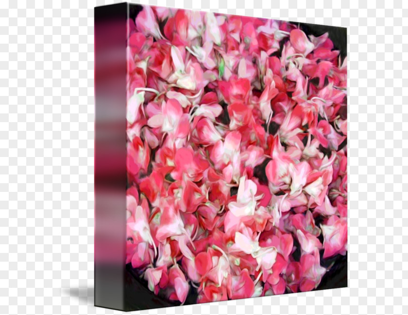 Rose Hydrangea Floral Design Cut Flowers Family Pink M PNG