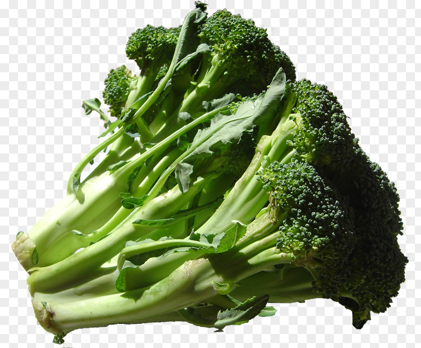 Brocoli Broccoli Food Potassium Health Cruciferous Vegetables PNG