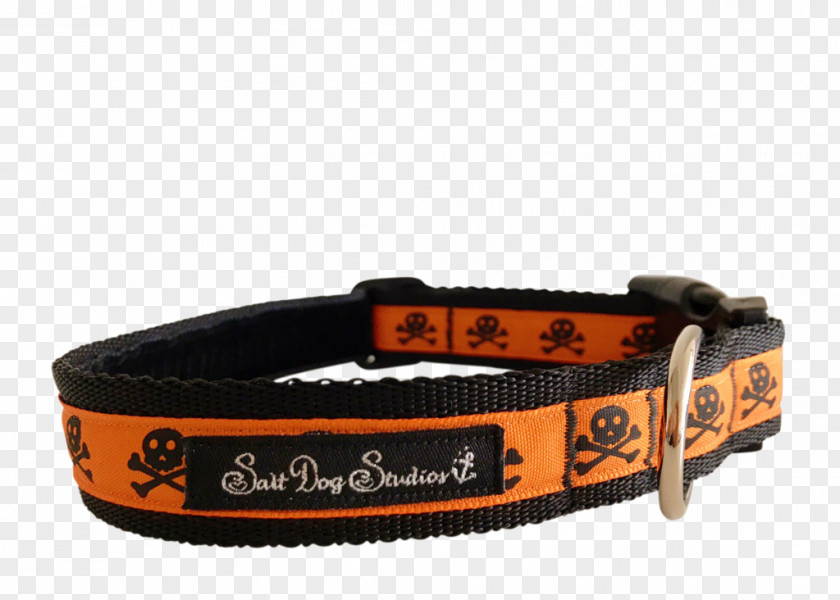 Dog Collar Cat Leash PNG