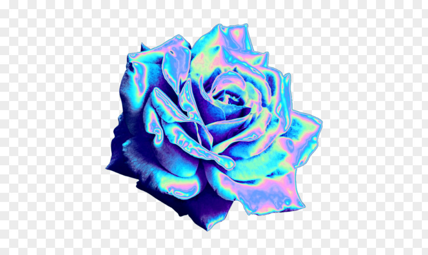 Holography Blue Rose Garden Roses Tumblr Blog PNG