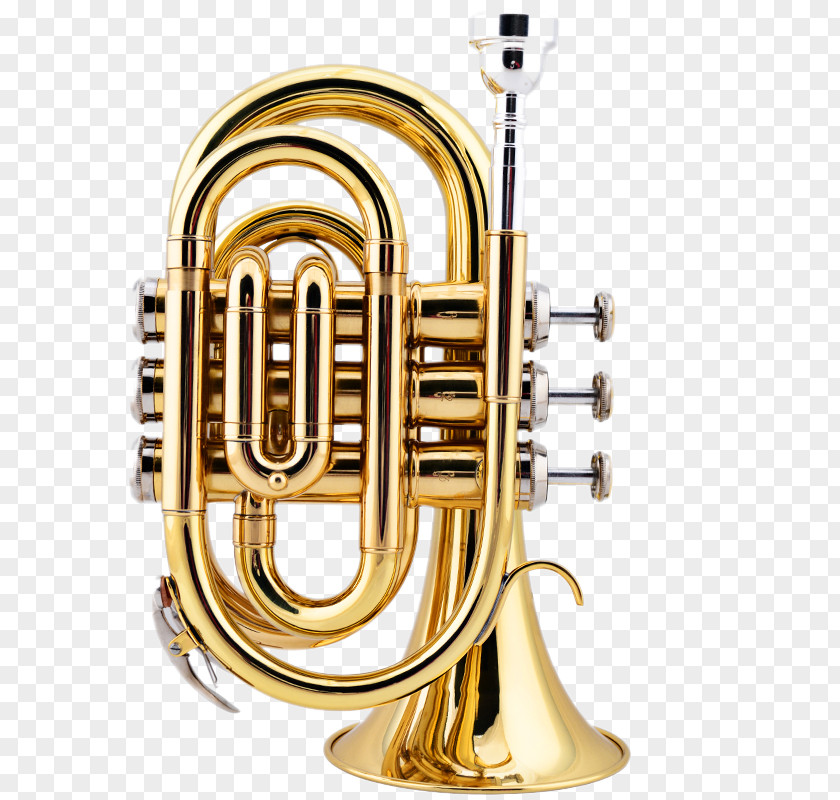 No. B Flat Trumpet Palm Cornet Brass Instrument Musical Wind PNG