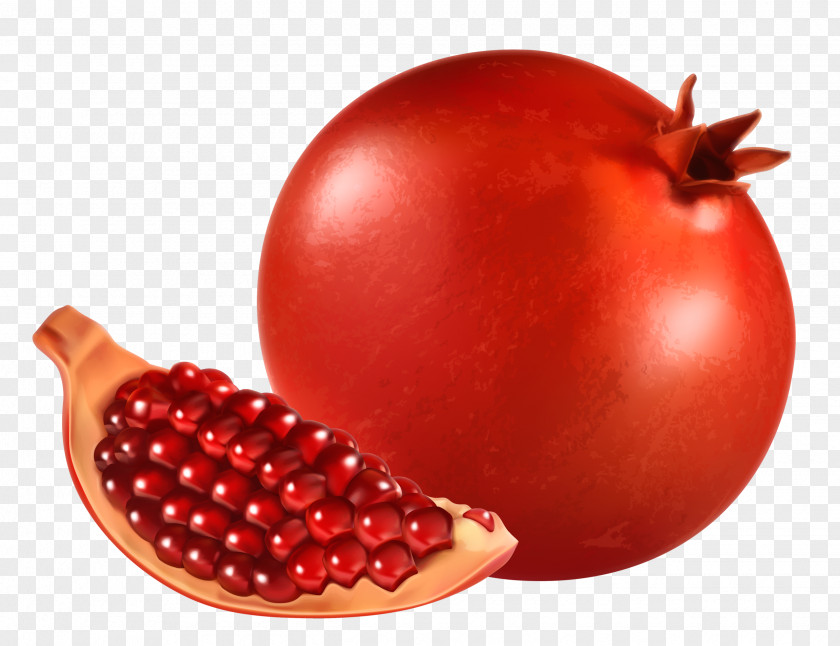 Pomegranate Clip Art Openclipart Illustration PNG
