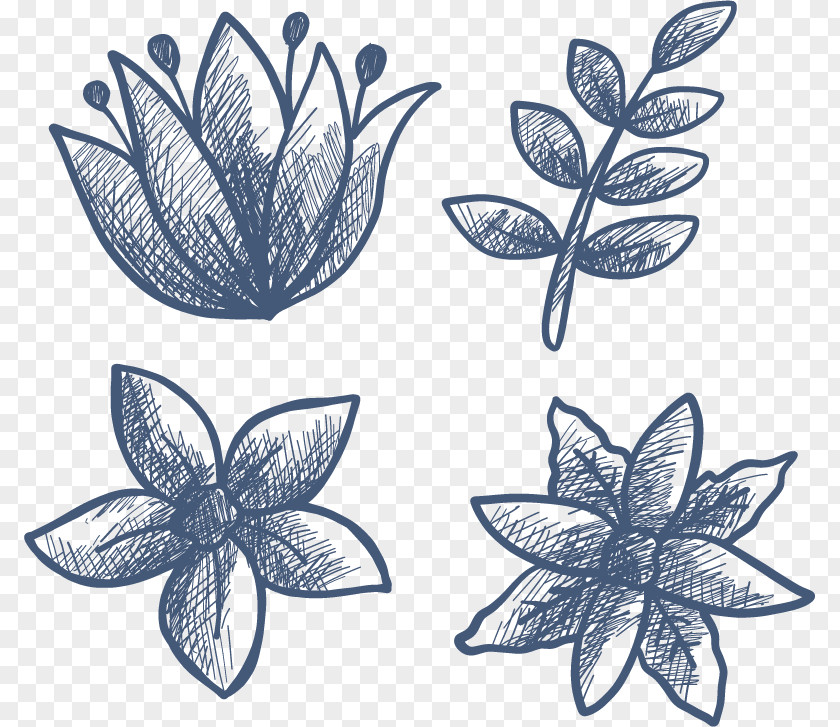 Sketch Winter Flowers Drawing Leaf Flower Petal PNG