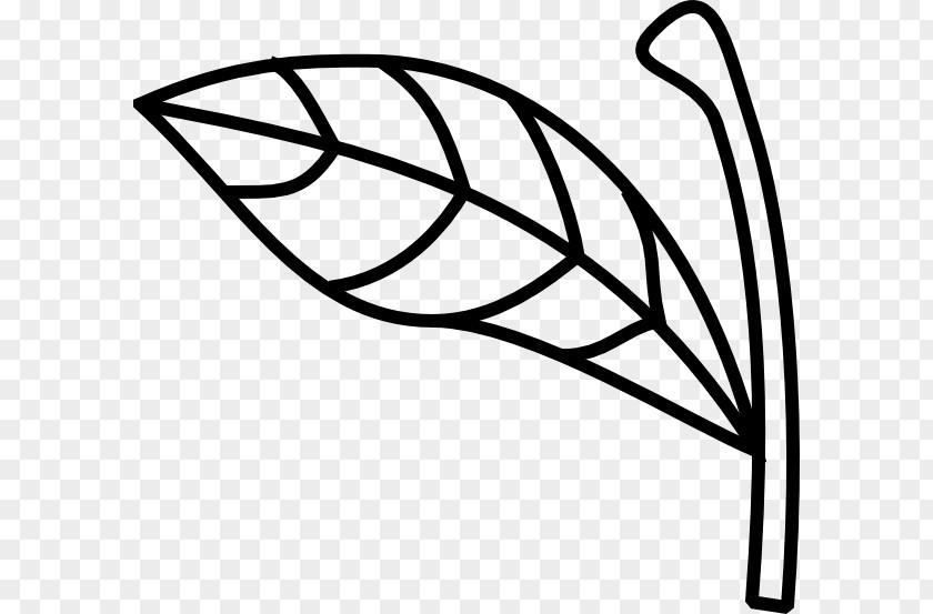 Stems Vector Plant Stem Leaf Clip Art PNG