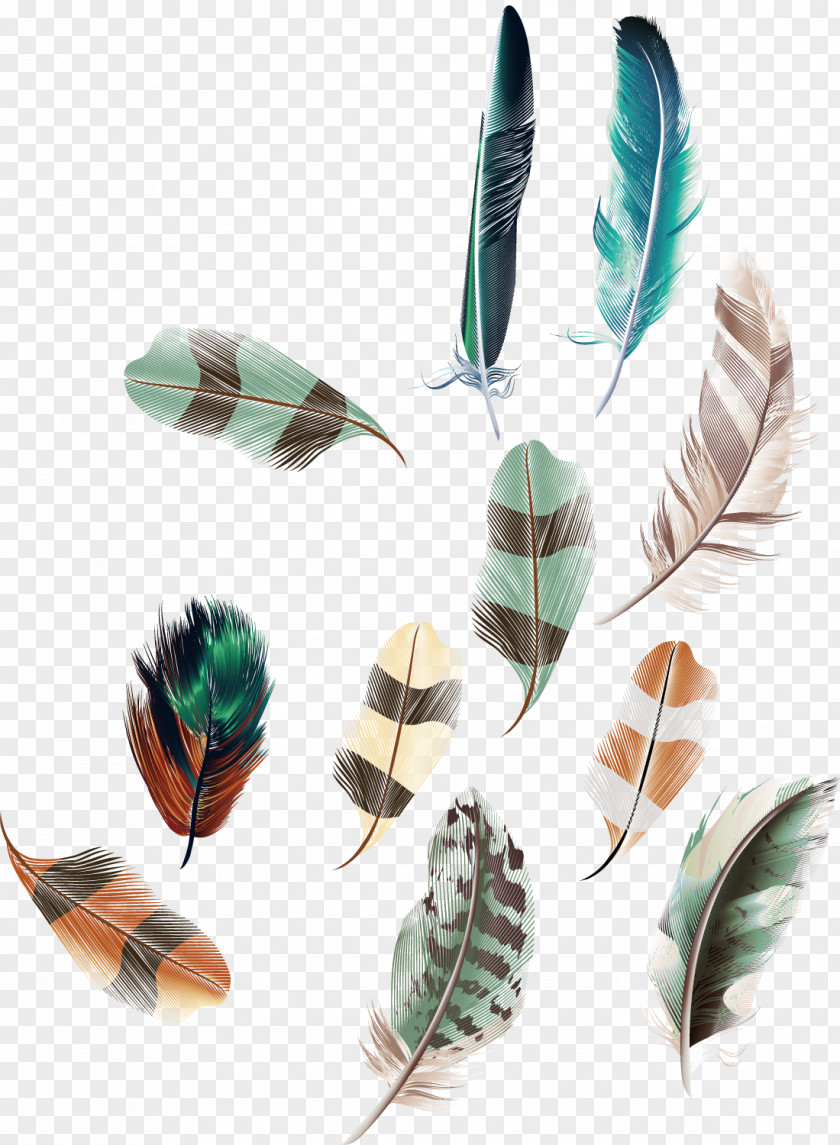 Vector Feather Decoration Euclidean Egg PNG