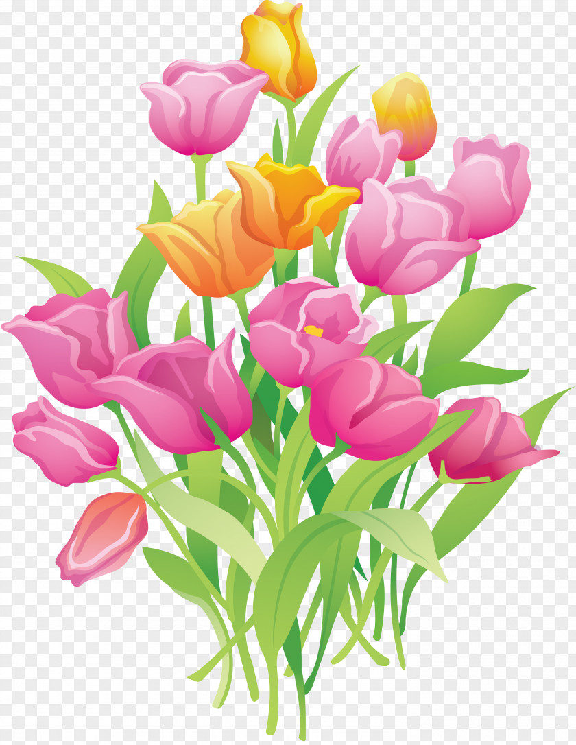 8 Tulip Flower Clip Art PNG