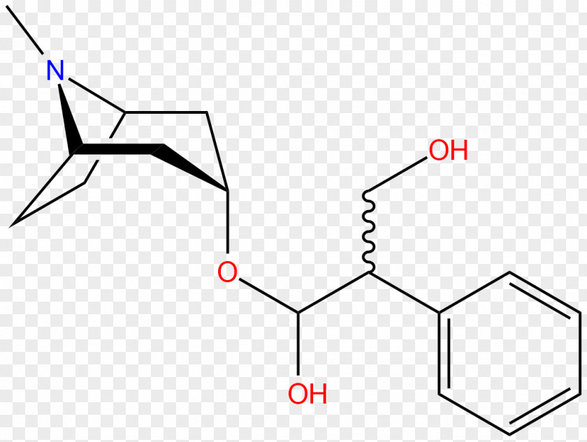 Atropine Hyoscine Belladonna Muscarinic Antagonist Drug PNG