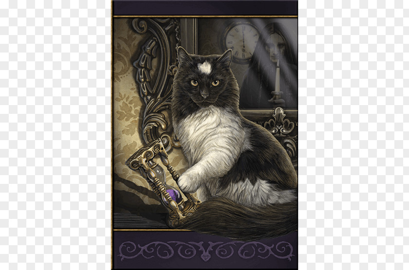 Cat Black Tabby Magic Art PNG