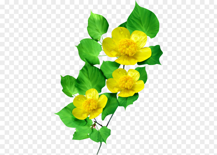 Clip Art Image GIF Flower PNG