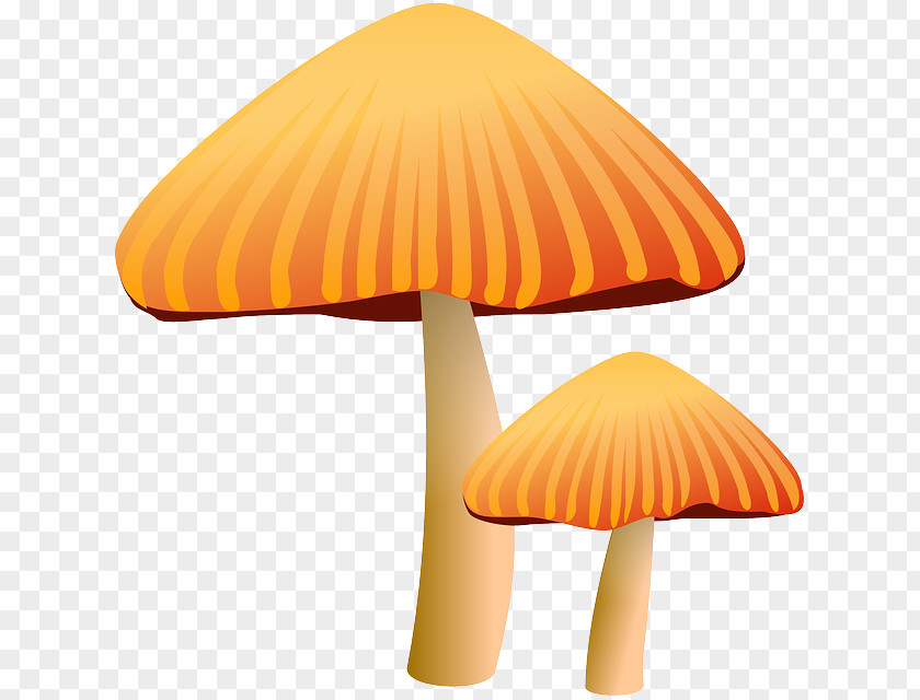 Mushroom Cartoon Morchella Fungus Clip Art PNG