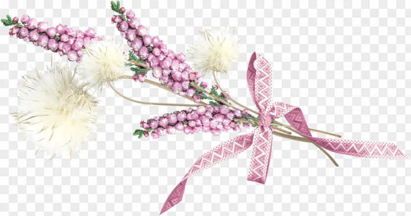 Primera Comunion Cut Flowers Floral Design Plant Stem PNG