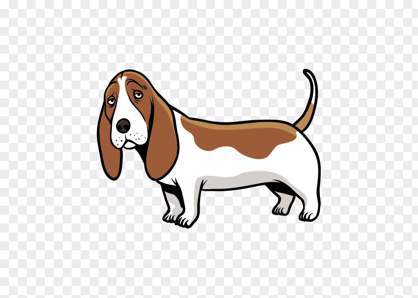 Puppy Beagle Basset Hound Harrier Dog Breed PNG